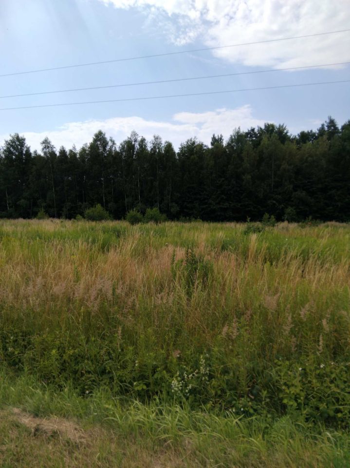 Działka rolno-budowlana Grodzisko Dolne. Zdjęcie 4