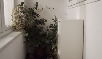 Mieszkanie 2-pokojowe Legnica Centrum, ul. Stanisława Moniuszki