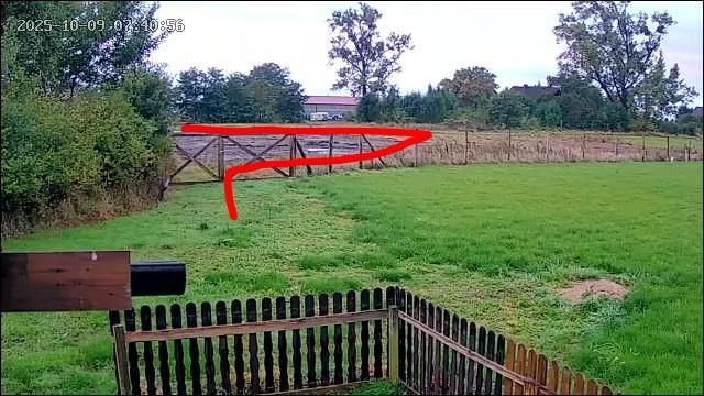 Działka rolna Jedlice Brzostowo. Zdjęcie 3