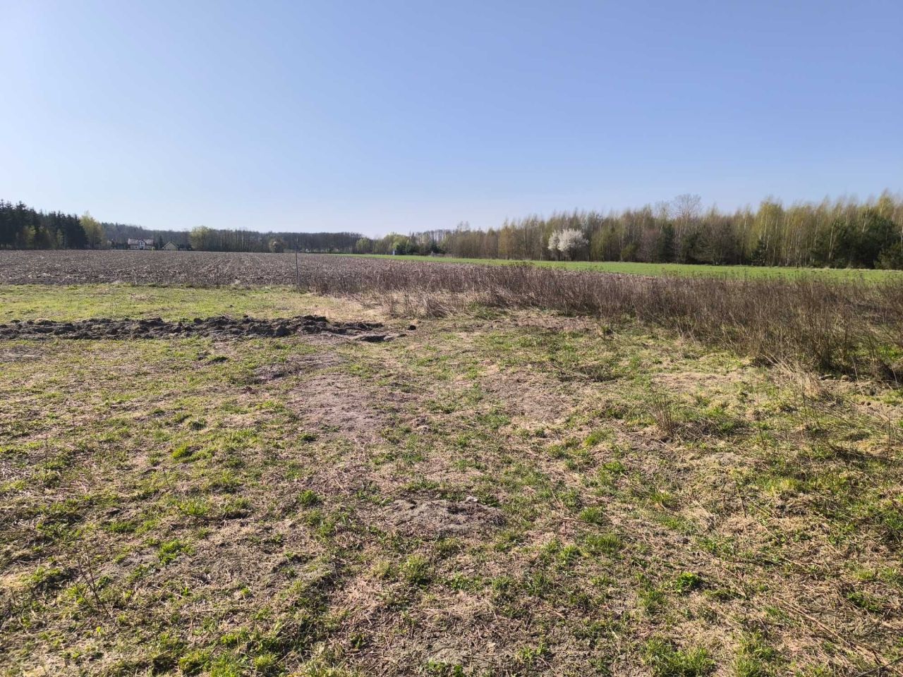 Działka budowlana Nasielsk, ul. Chmielna. Zdjęcie 1