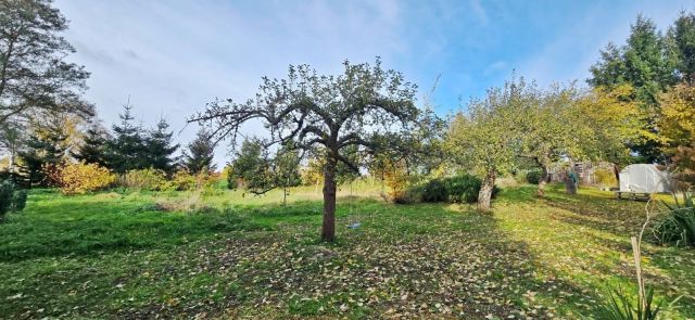 dom wolnostojący, 7 pokoi Grabiszyce Dolne. Zdjęcie 5