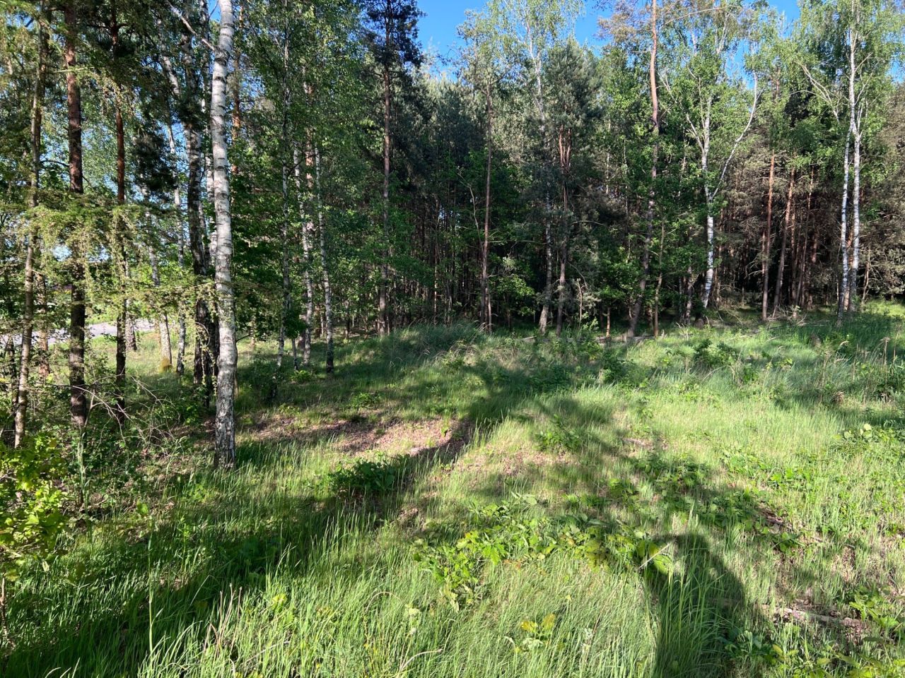 Działka budowlana Rększowice, ul. Zjazdowa. Zdjęcie 1