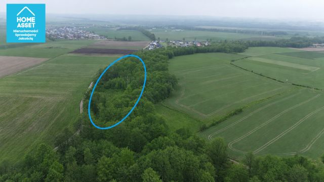 Działka budowlana Werblinia, ul. Leśna. Zdjęcie 9