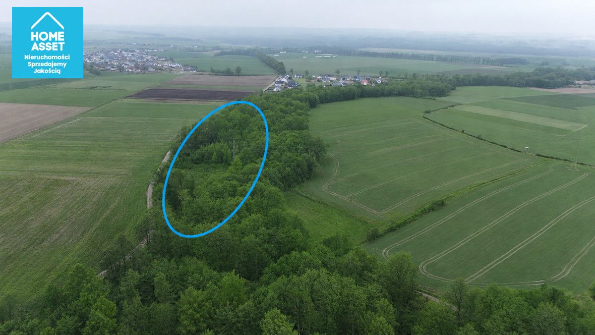 Działka budowlana Werblinia, ul. Leśna. Zdjęcie 9
