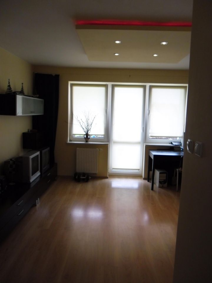 Mieszkanie 1-pokojowe Przecław. Zdjęcie 20