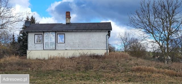 Działka rolno-budowlana Chrośna. Zdjęcie 1