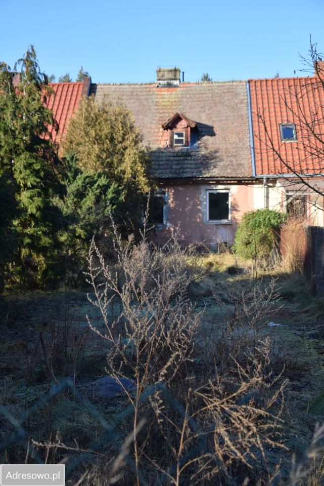 Mieszkanie 3-pokojowe Zalesie. Zdjęcie 4