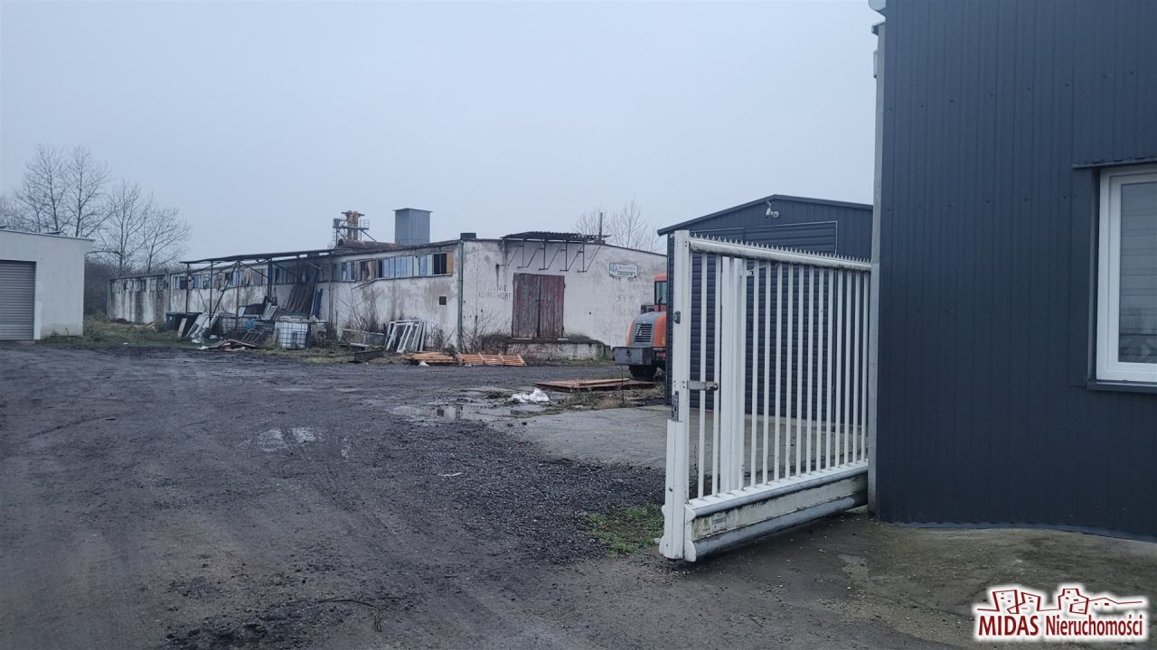 Hala/magazyn Lubraniec. Zdjęcie 15