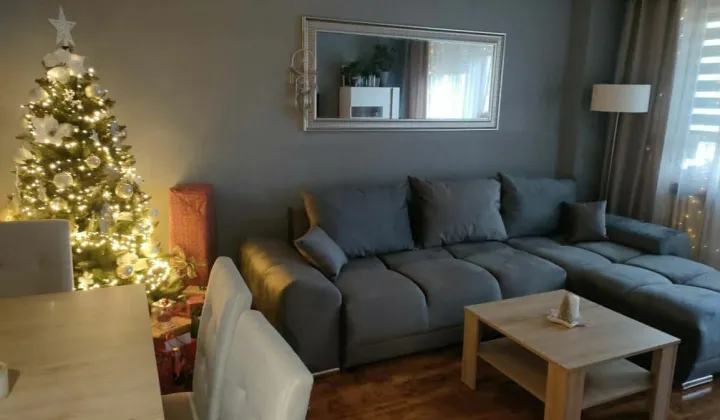 Mieszkanie 3-pokojowe Łódź Dąbrowa