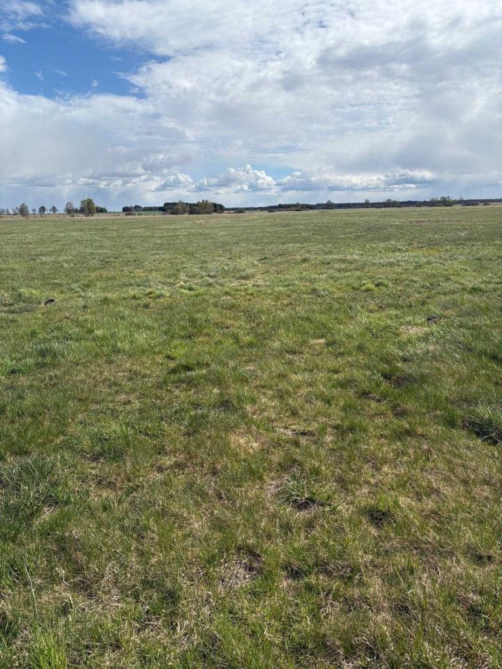 Działka rolna Doratynka. Zdjęcie 4