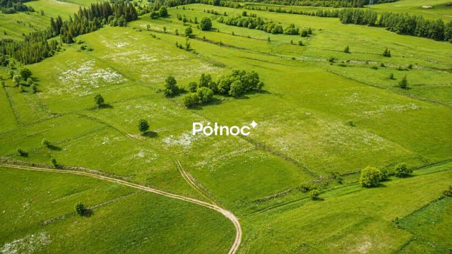 Działka Pieniążkowice. Zdjęcie 9