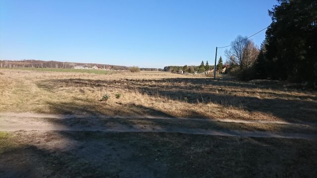 Działka rolna Zajączek. Zdjęcie 1