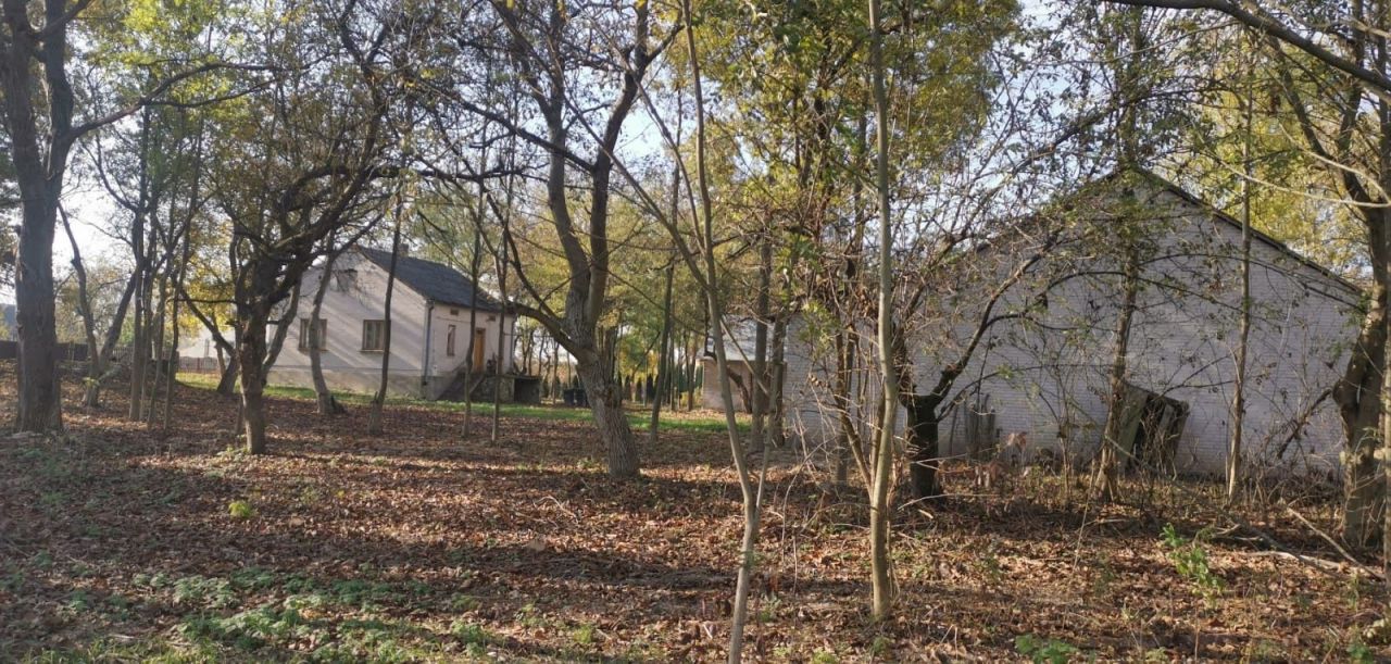 Działka siedliskowa Linów-Kolonia. Zdjęcie 5