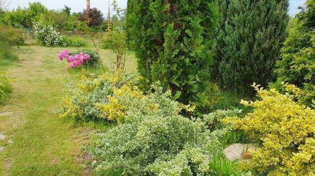 Działka rekreacyjna Świdnica. Zdjęcie 1