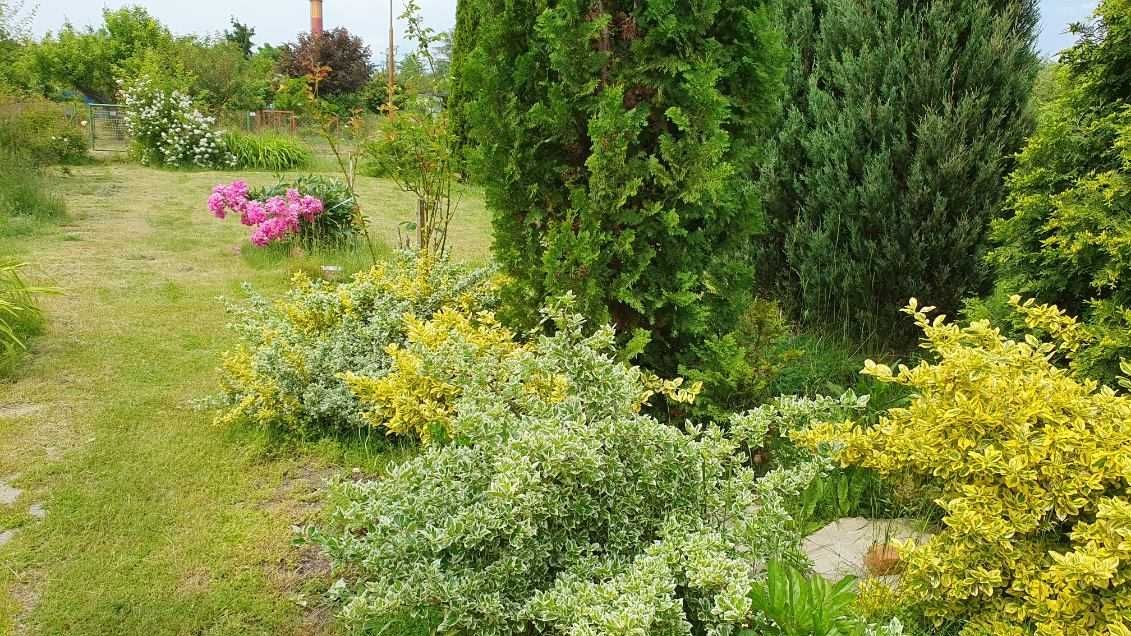 Działka rekreacyjna Świdnica