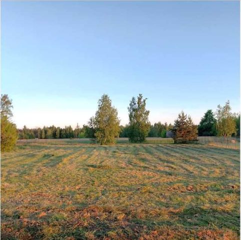 Działka rolno-budowlana Jagodne. Zdjęcie 1