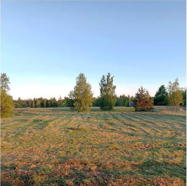 Działka rolno-budowlana Jagodne