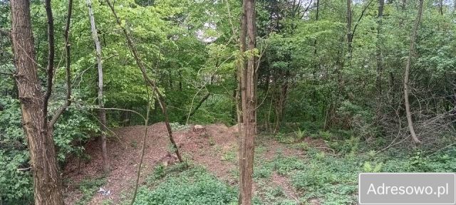 Działka rekreacyjna Błażkowa. Zdjęcie 1