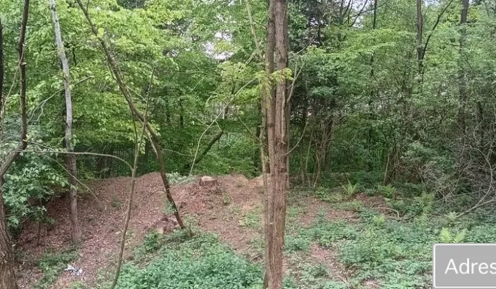 Działka leśna Błażkowa