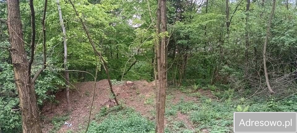 Działka rekreacyjna Błażkowa