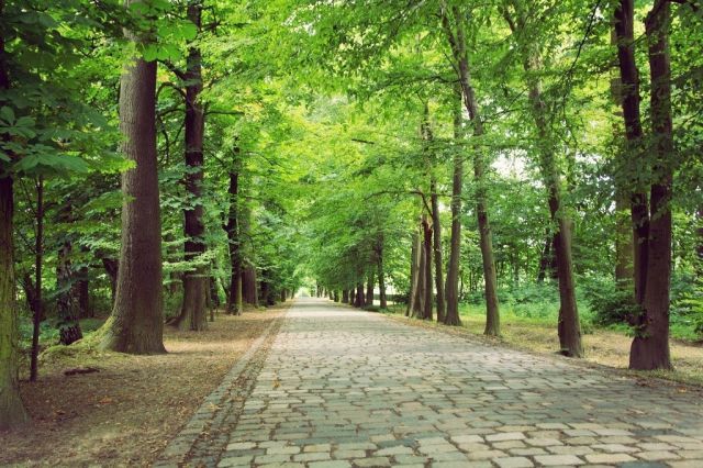 dom wolnostojący, 7 pokoi Strzykuły, ul. Srebrzysta Aleja. Zdjęcie 12