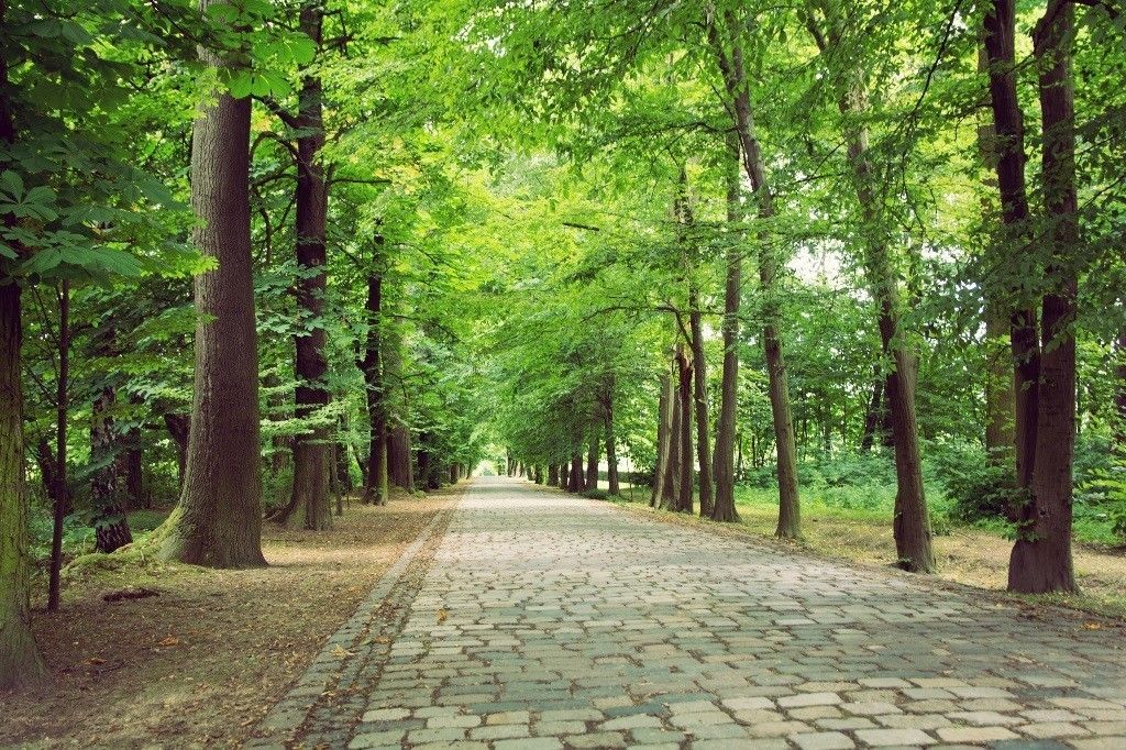 dom wolnostojący, 7 pokoi Strzykuły, ul. Srebrzysta Aleja. Zdjęcie 12