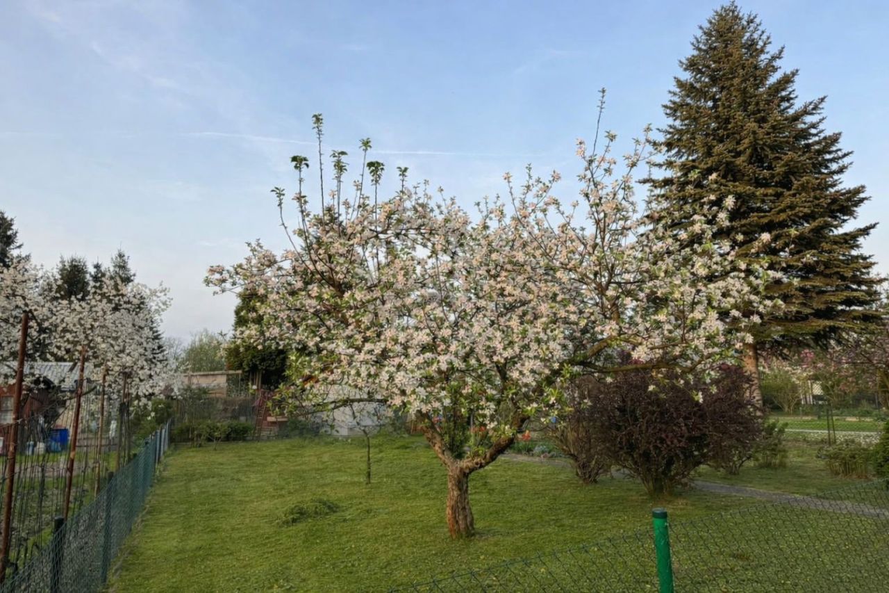 Działka rod Skawina. Zdjęcie 8