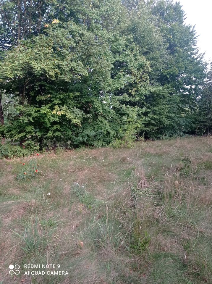 Działka budowlana Wola Prażmowska, ul. Północna. Zdjęcie 8