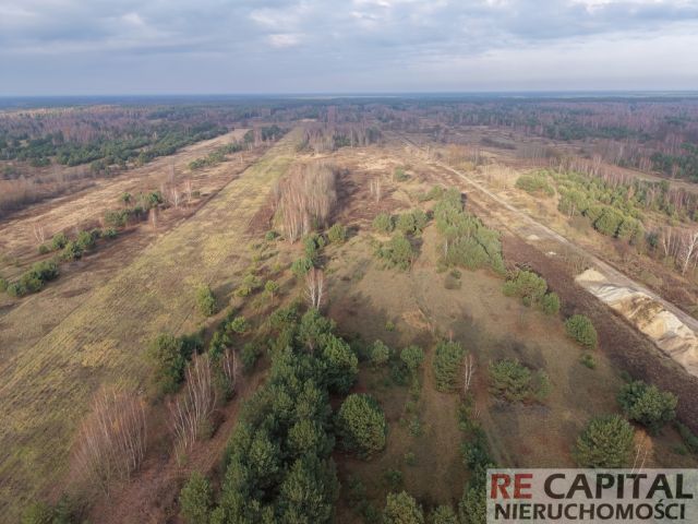 Działka rolna Wojcieszyn. Zdjęcie 2