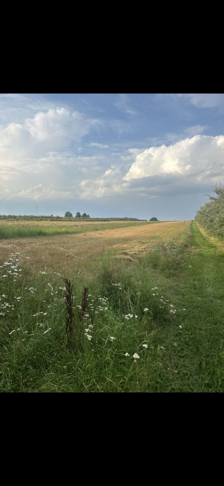 dom wolnostojący, 6 pokoi Rycza. Zdjęcie 3