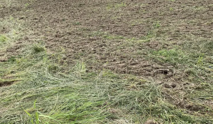 Działka budowlana Piława Dolna, ul. Wierzbowa