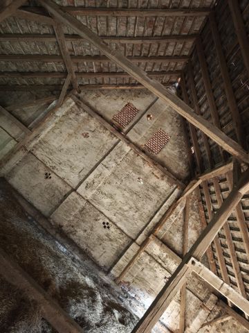 Działka rolno-budowlana Białowieża Siodłary. Zdjęcie 7