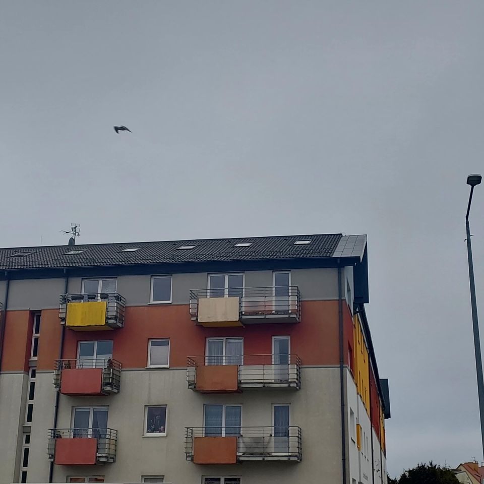 Mieszkanie 3-pokojowe Koszalin Jedliny, ul. dr. Andrzeja Zientarskiego. Zdjęcie 8