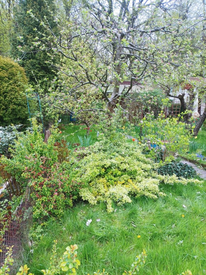 Działka rod Olsztyn. Zdjęcie 4