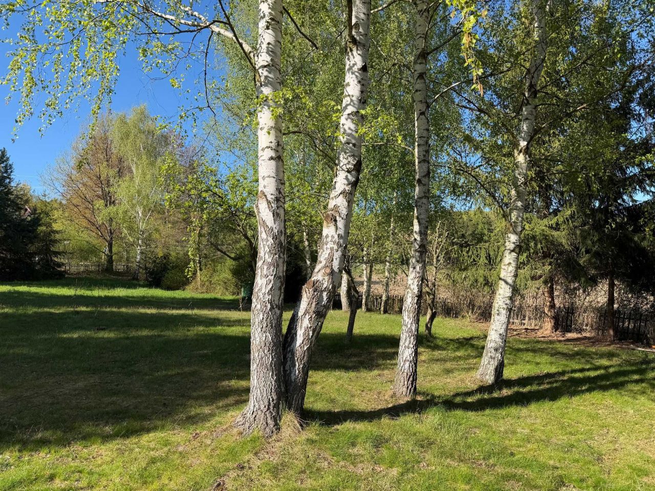 Działka rekreacyjna Sulistrowiczki. Zdjęcie 3