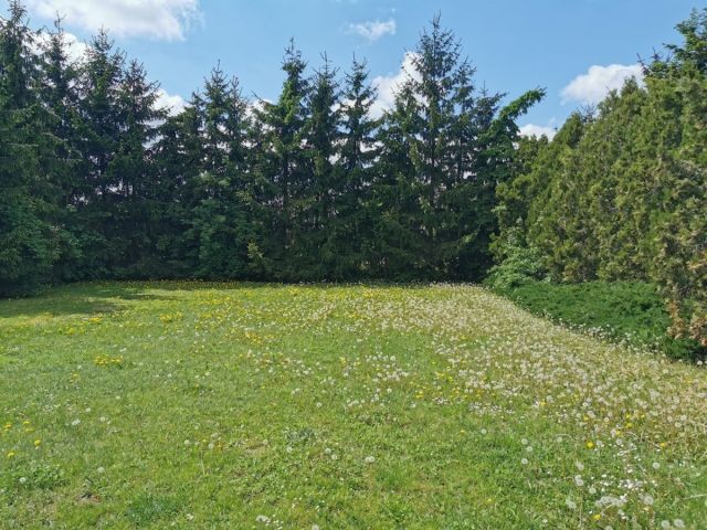 dom wolnostojący, 2 pokoje Dobrzyca, ul. Jarocińska. Zdjęcie 7