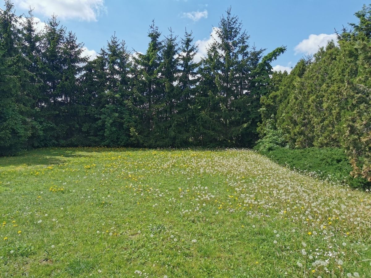 dom wolnostojący, 2 pokoje Dobrzyca, ul. Jarocińska. Zdjęcie 7