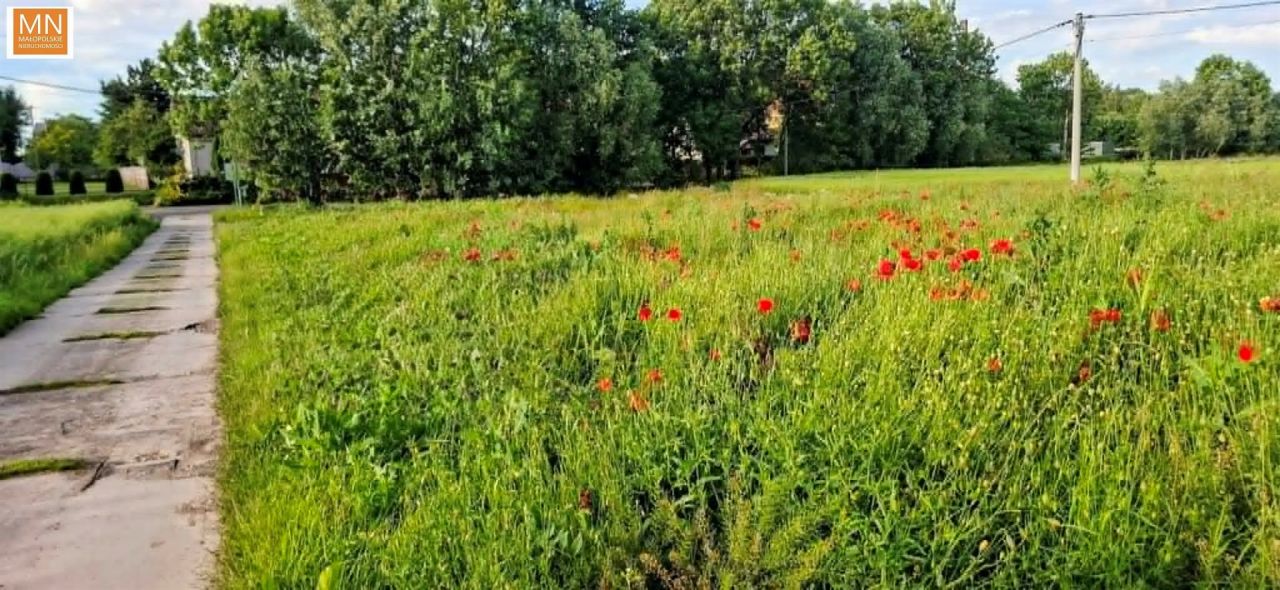 Działka budowlana Marszowice. Zdjęcie 5