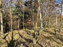 Działka siedliskowa Ptaszków. Zdjęcie 4