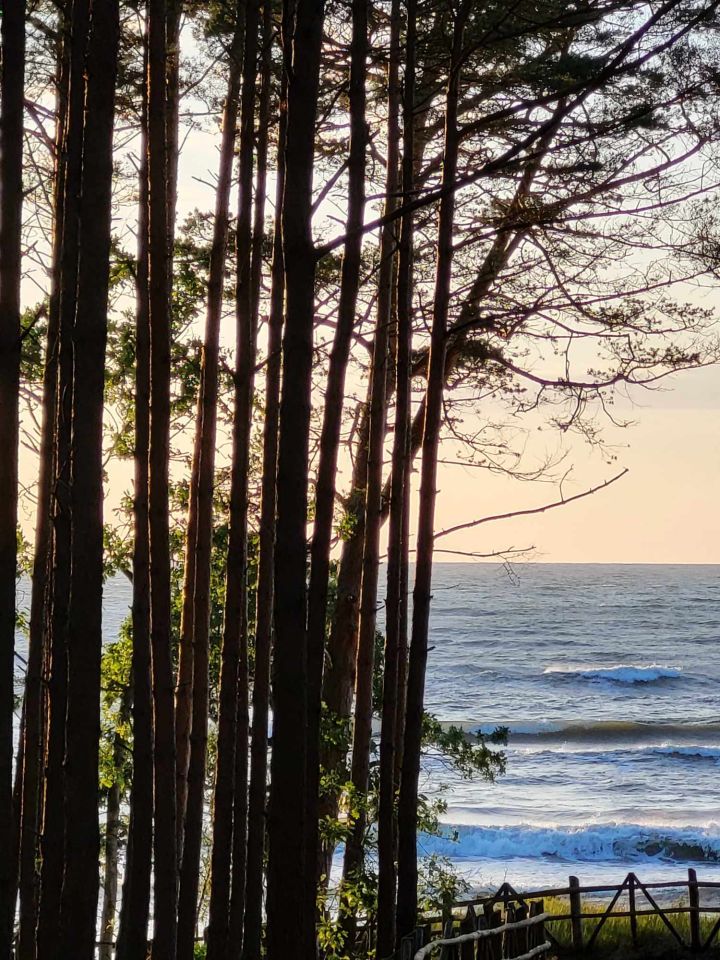 Działka rolna Karwieńskie Błoto Drugie, ul. Wczasowa. Zdjęcie 2