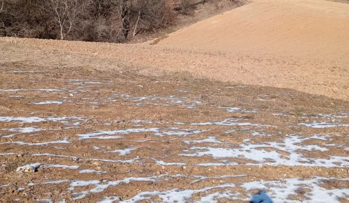 Działka budowlana Wola Zachariaszowska, ul. Malownicza