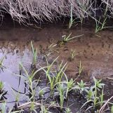 Działka rolno-budowlana Ulasek. Zdjęcie 1