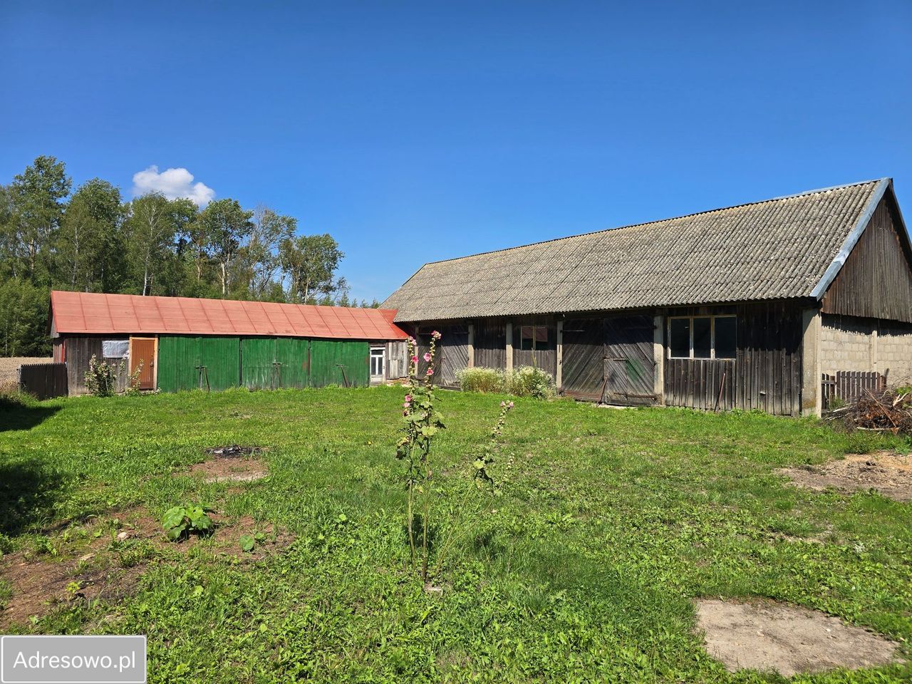 siedlisko, 3 pokoje Kuraszewo. Zdjęcie 13