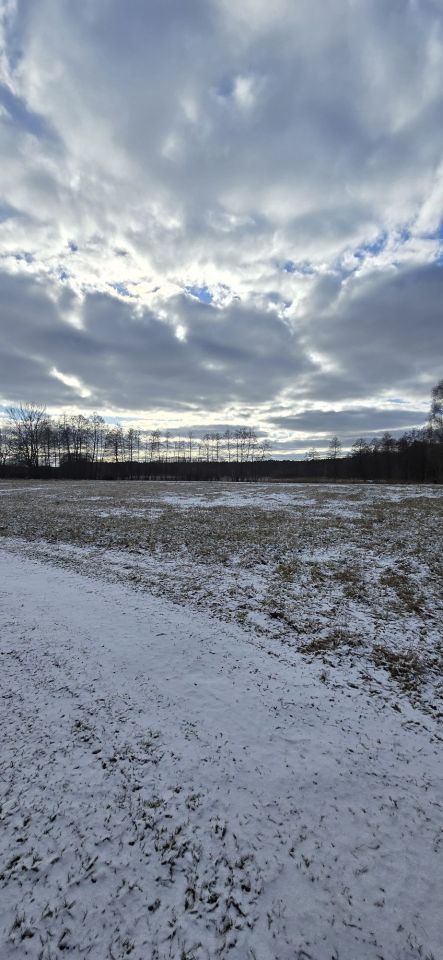 Działka siedliskowa Przychodzko. Zdjęcie 7