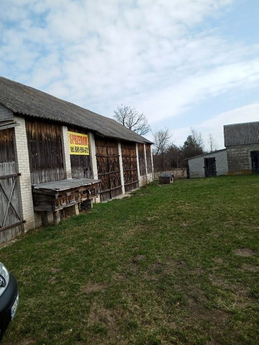 Działka siedliskowa Dubeczno. Zdjęcie 1