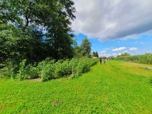 Działka rolno-budowlana Roźwienica. Zdjęcie 1