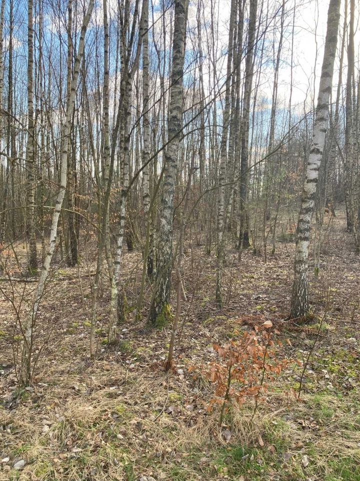 Działka siedliskowa Chrztowo. Zdjęcie 8