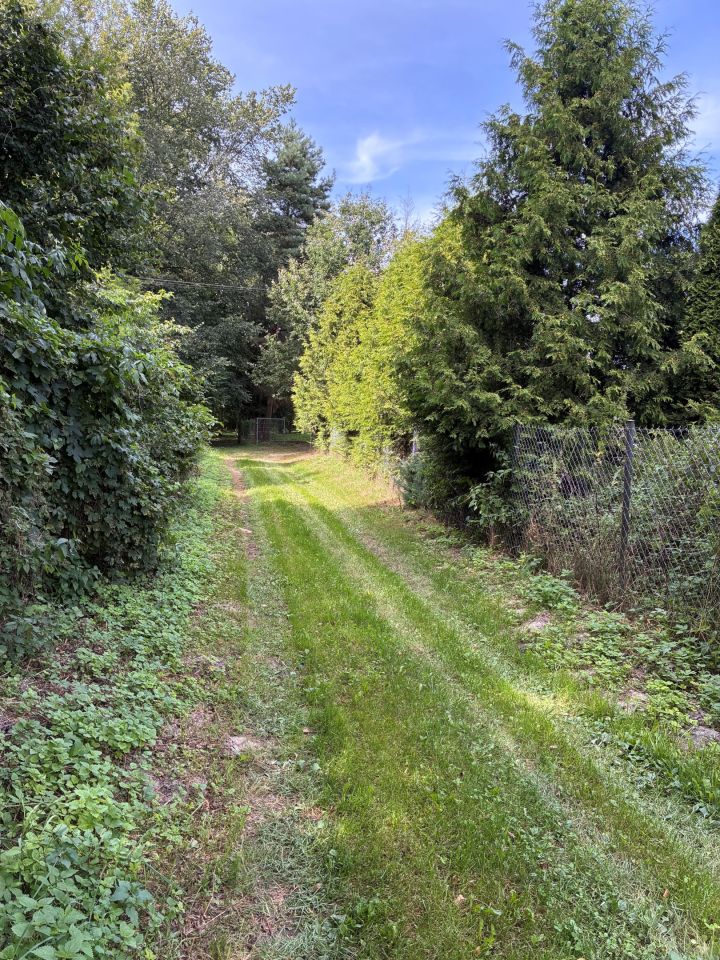 siedlisko Sobieszyn. Zdjęcie 14