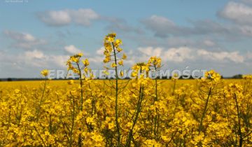 Działka rolna Henrykowo, ul. Szafirowa