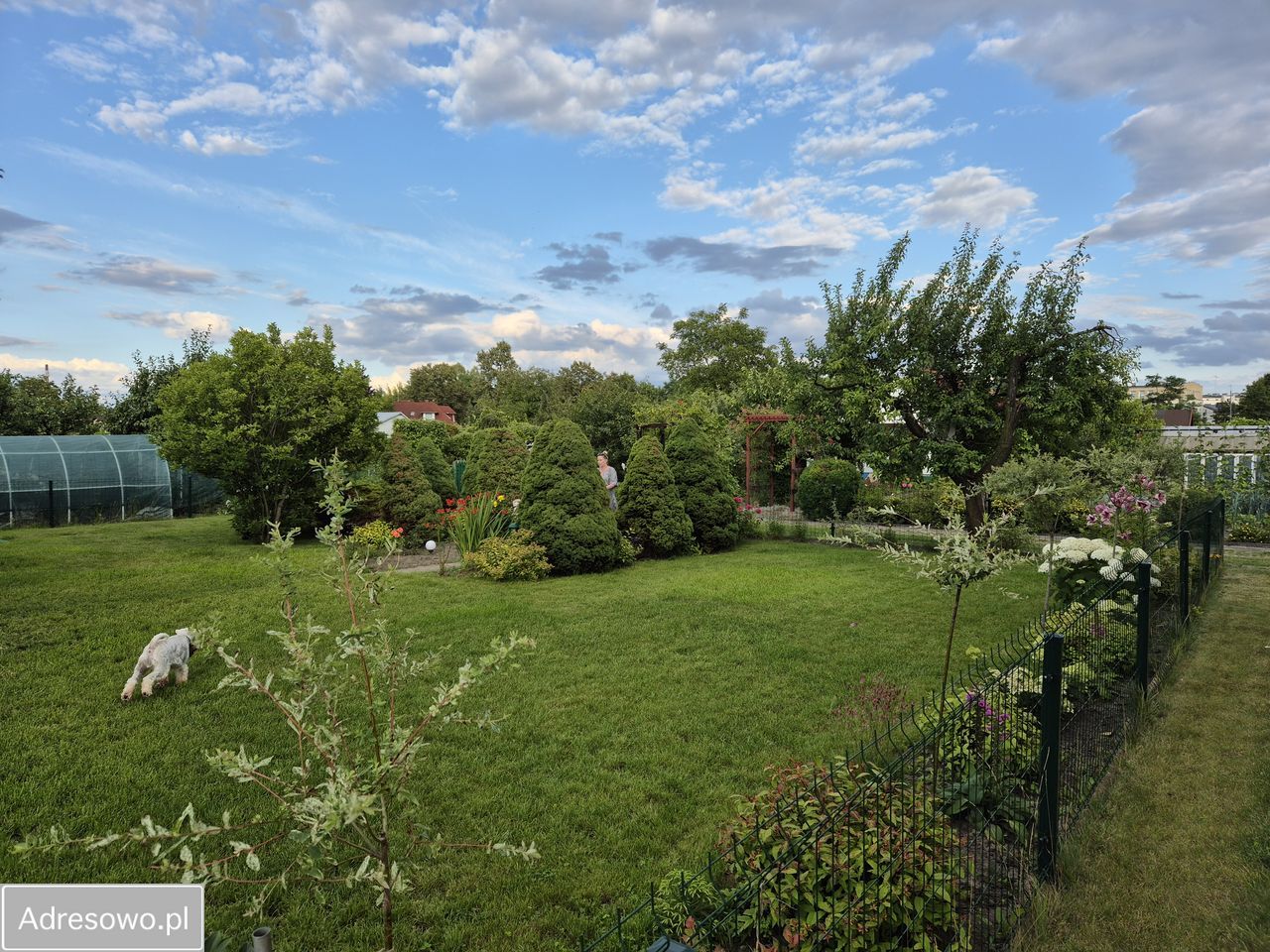 Działka rod Skierniewice, ul. Bielańska. Zdjęcie 12